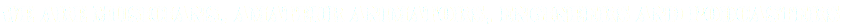 WE ARE MUSICIANS, AMATEUR ANIMATORS, ENGINEERS AND PODCASTERS