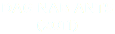 DAG NAB ANTS (2011)